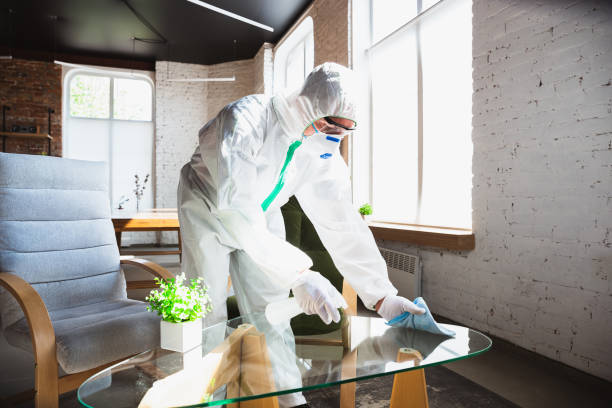 Best Biohazard Mold Removal  in Roscoe, IL